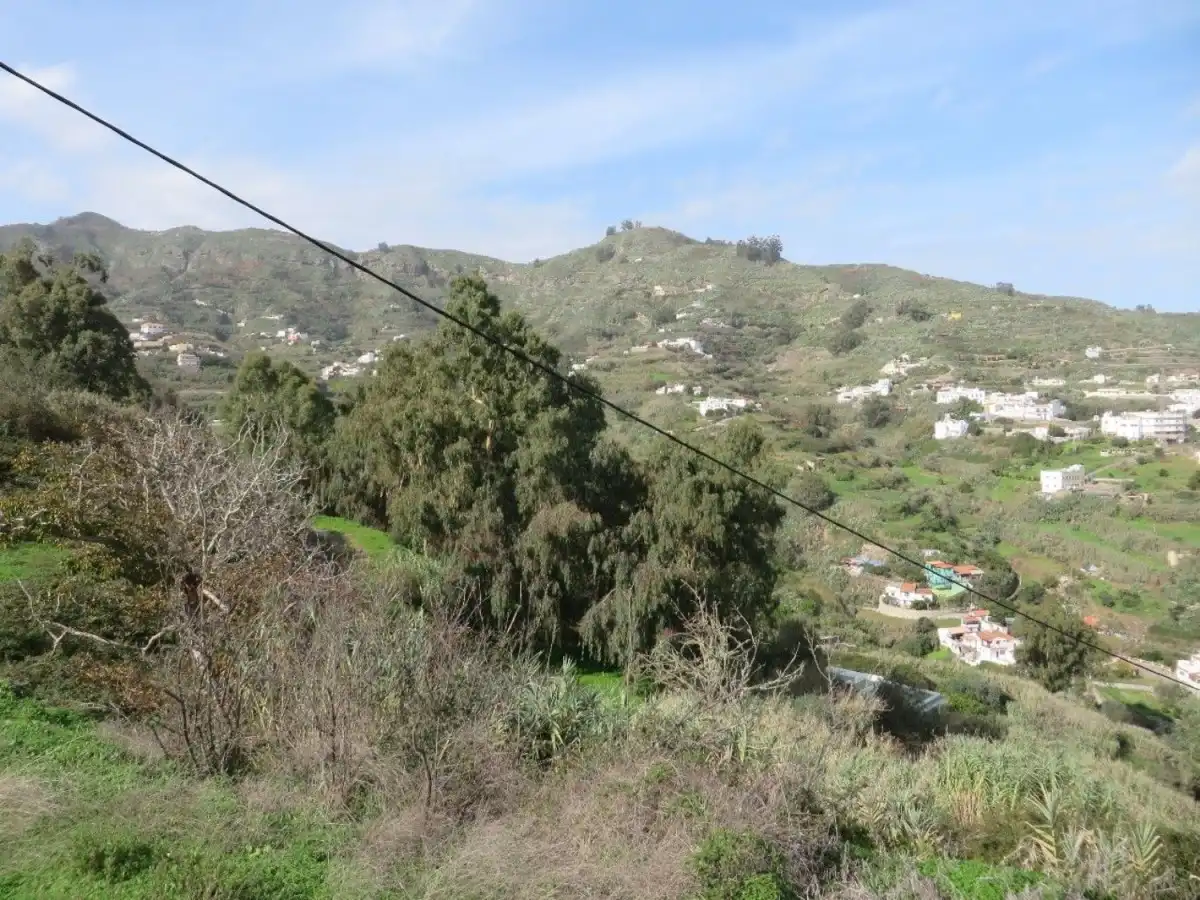 Exterior view of Land for sale in Teror