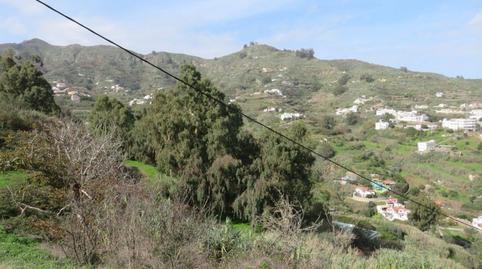 Foto 2 de Terreno en venta en El Álamo - Arbejales, Teror