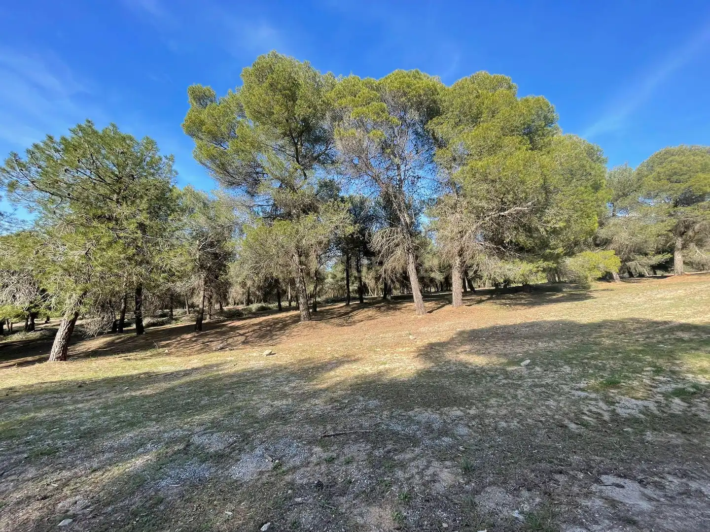 Casa o xalet en venda en La Zubia amb Jardí privat i Traster