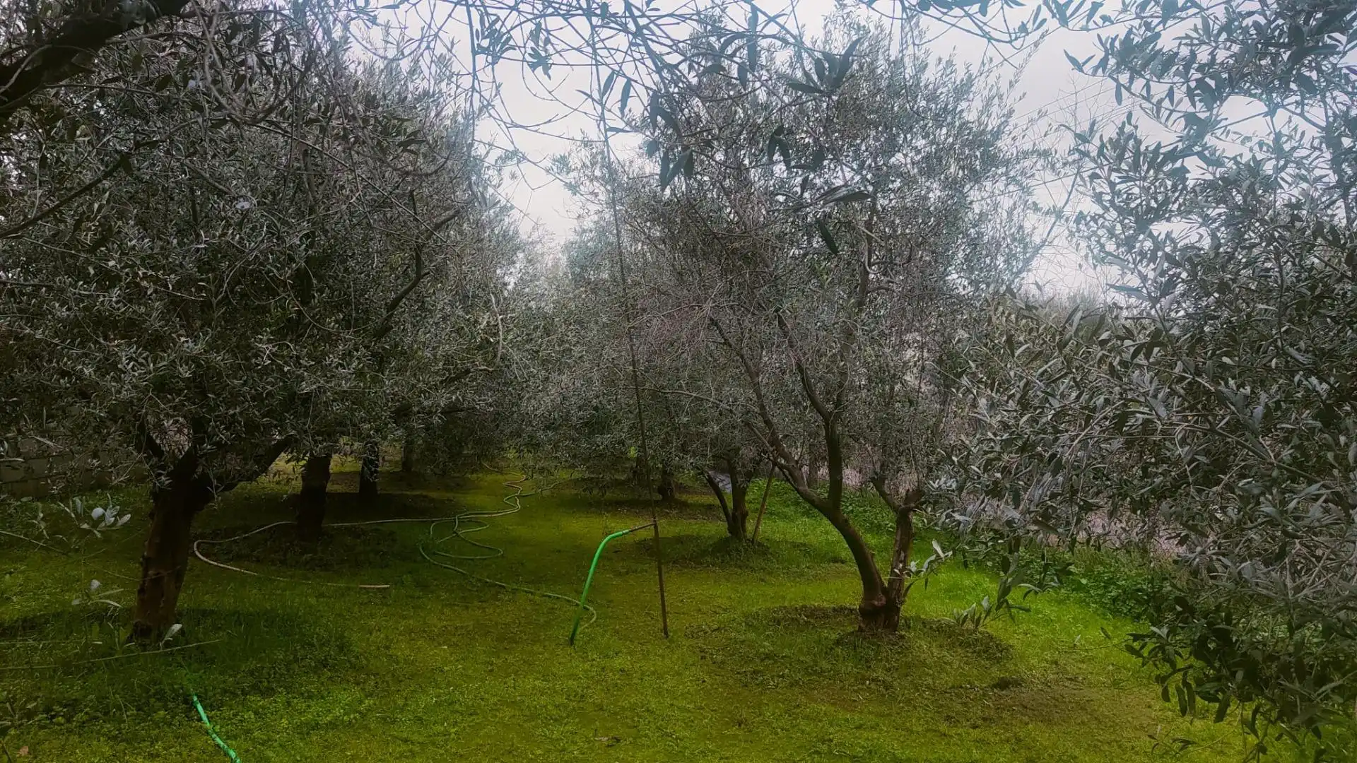 Garden of Houses for sale in Córdoba  with Air Conditioner, Heating and Private garden