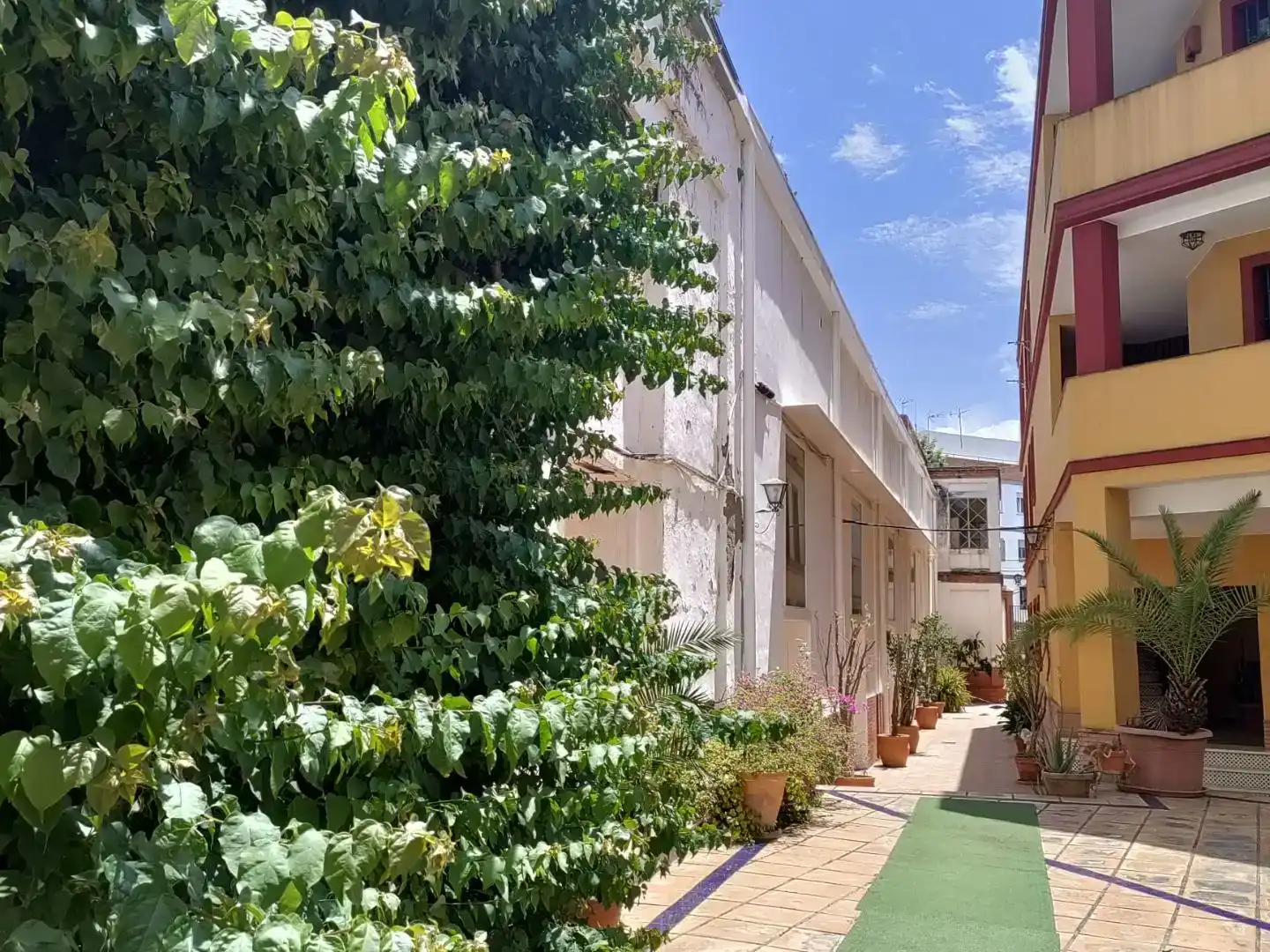 Vista exterior de Apartament en venda en  Sevilla Capital