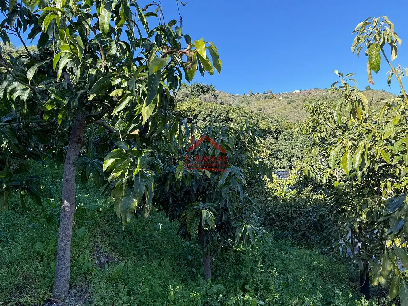 Country homes for sale in Sayalonga  with Air Conditioner, Heating and Terrace