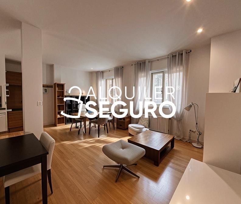 Living room of Flat to rent in  Madrid Capital  with Heating and Furnished