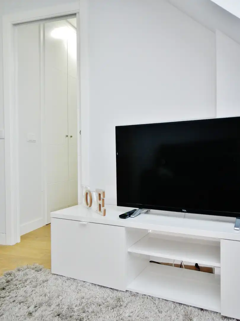 Living room of Attic for rent in Madrid  with Air Conditioner, Heating and Furnished
