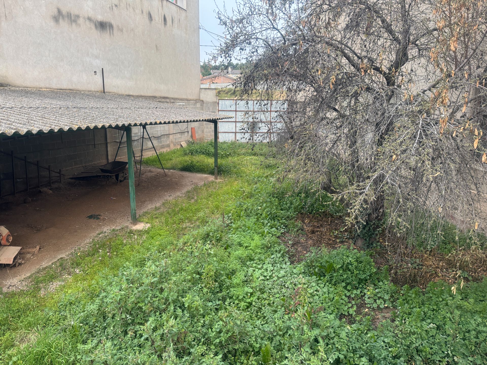 Casa o xalet en venda en Tàrrega amb Jardí privat i Terrassa