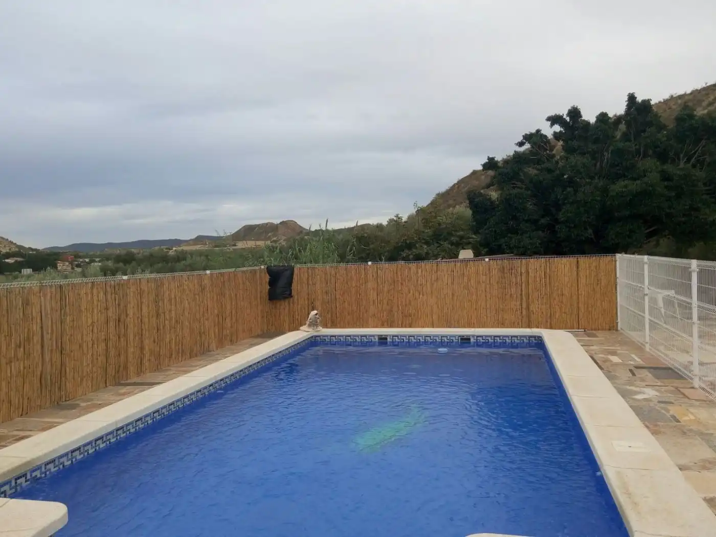 Chalet con piscina en venta en Campo de Murcia, imagen 4