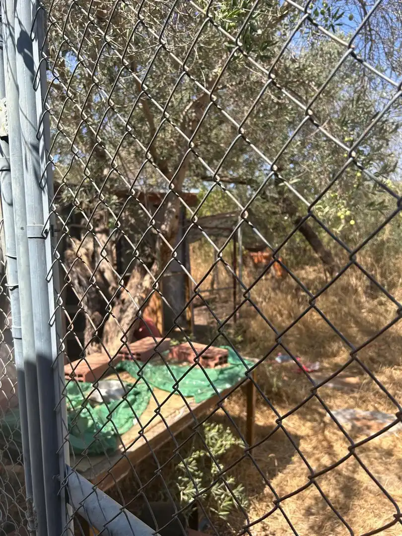 Rural land for sale in Pilas, imagen 30