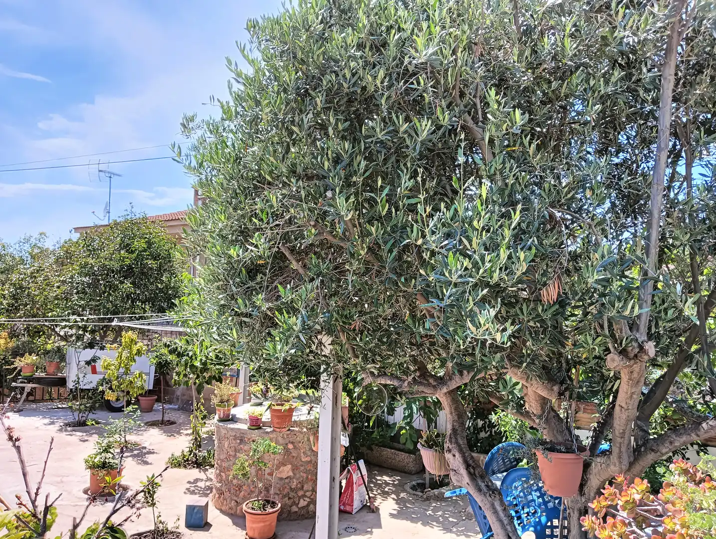 Garten von Haus oder Chalet zum Verkauf in La Bisbal del Penedès mit Heizung, Privatgarten und Terrasse