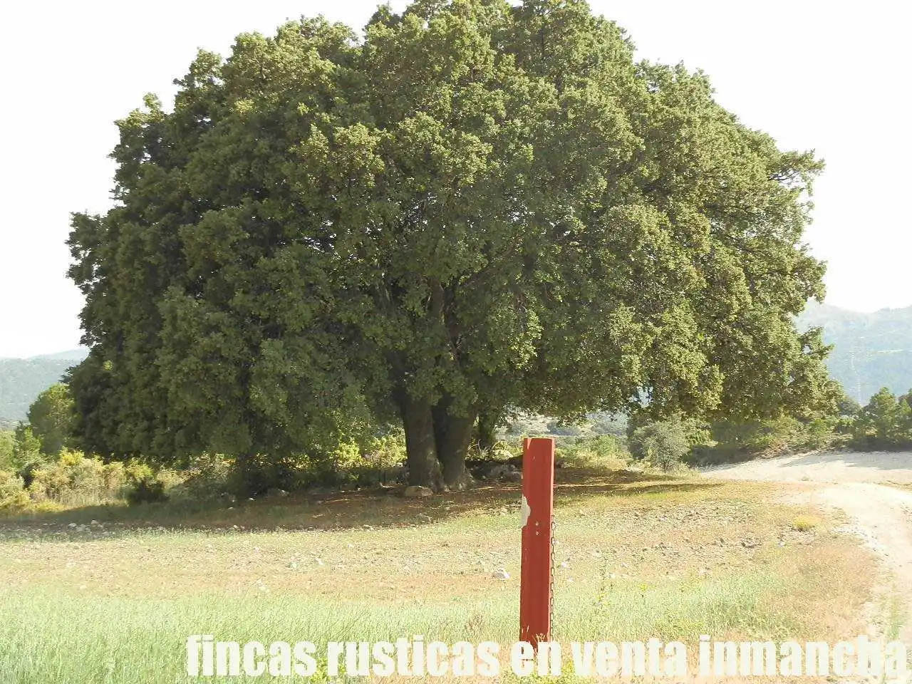 Terreno rustico in vendita a Caravaca de la Cruz, imagen 4