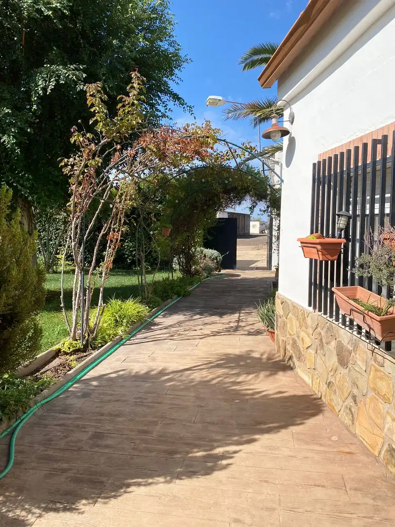 Jardí de Finca rústica en venda en Ciudad Real amb Aire condicionat, Calefacció i Piscina