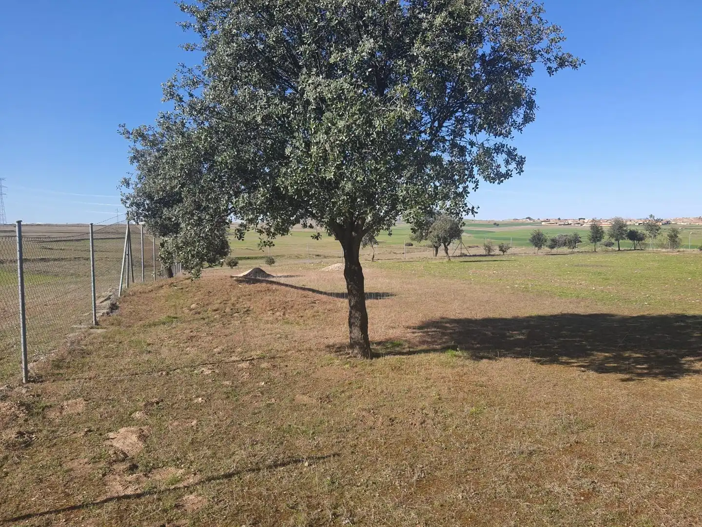 Industrial buildings for sale in Bernardos