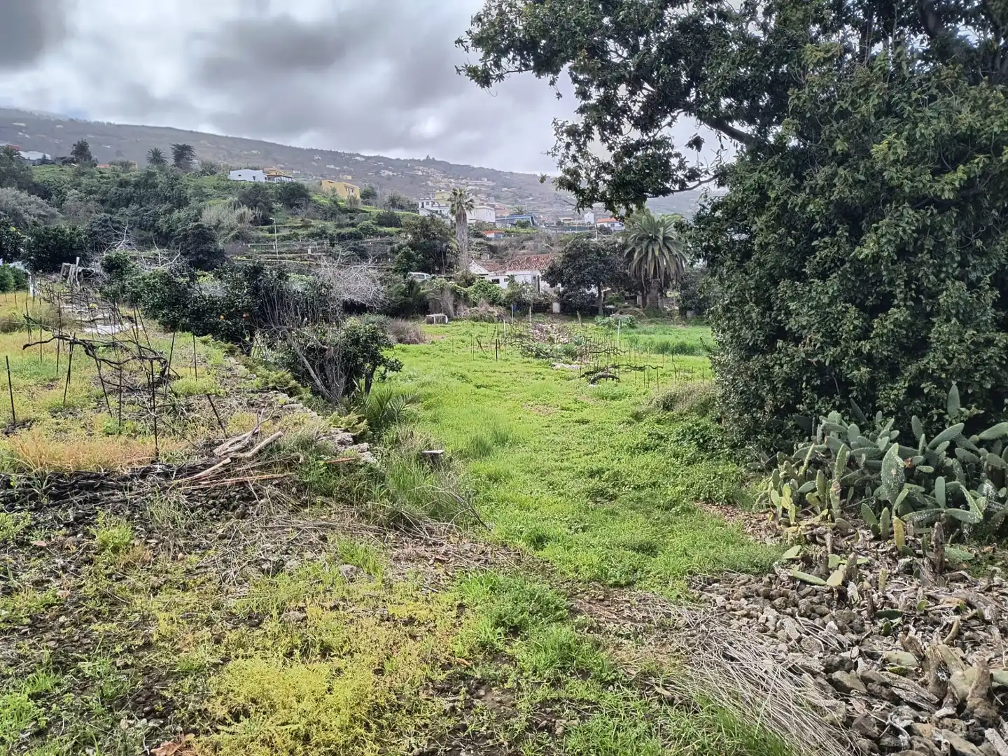 Houses for sale in La Orotava  with Private garden, Terrace and Storage room