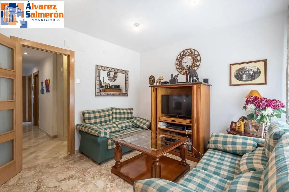 Sala de estar de Piso en venta en  Granada Capital con Calefacción, Terraza y Balcón