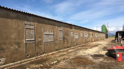 Photo 4 of Industrial buildings for sale in N/a, Eucaliptus - Poble Nou del Delta, Tarragona