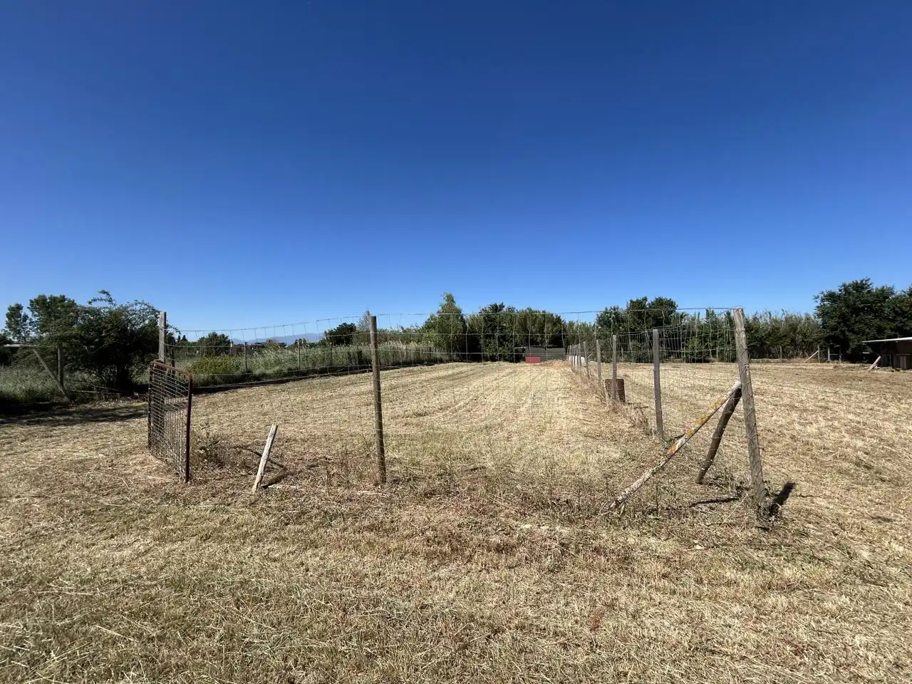 Finca rústica en venda en Tudela