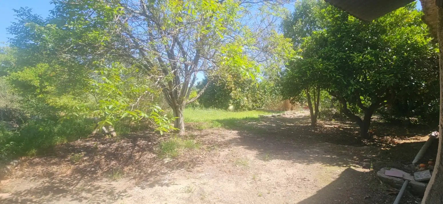 Casa o chalet en venta en Alguazas