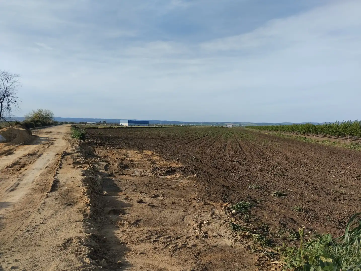 Terreno en venta en Guillena