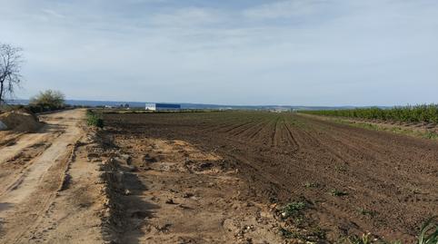 Photo 3 of Land for sale in N/a, -1, Torre de la Reina, Sevilla