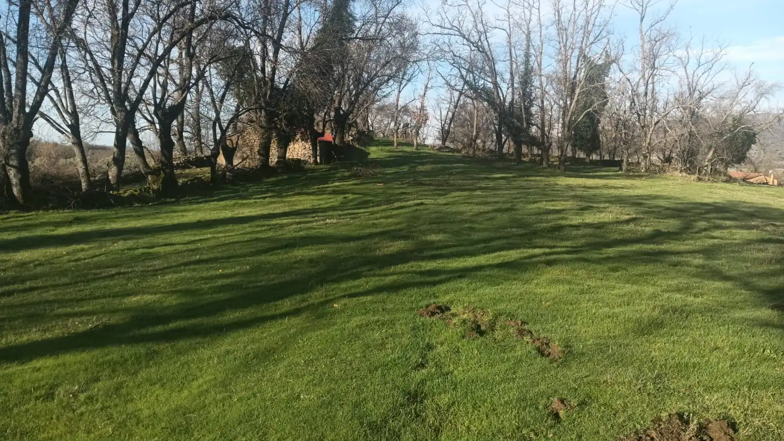 Terreni e lotti in vendita a Hervás, imagen 18
