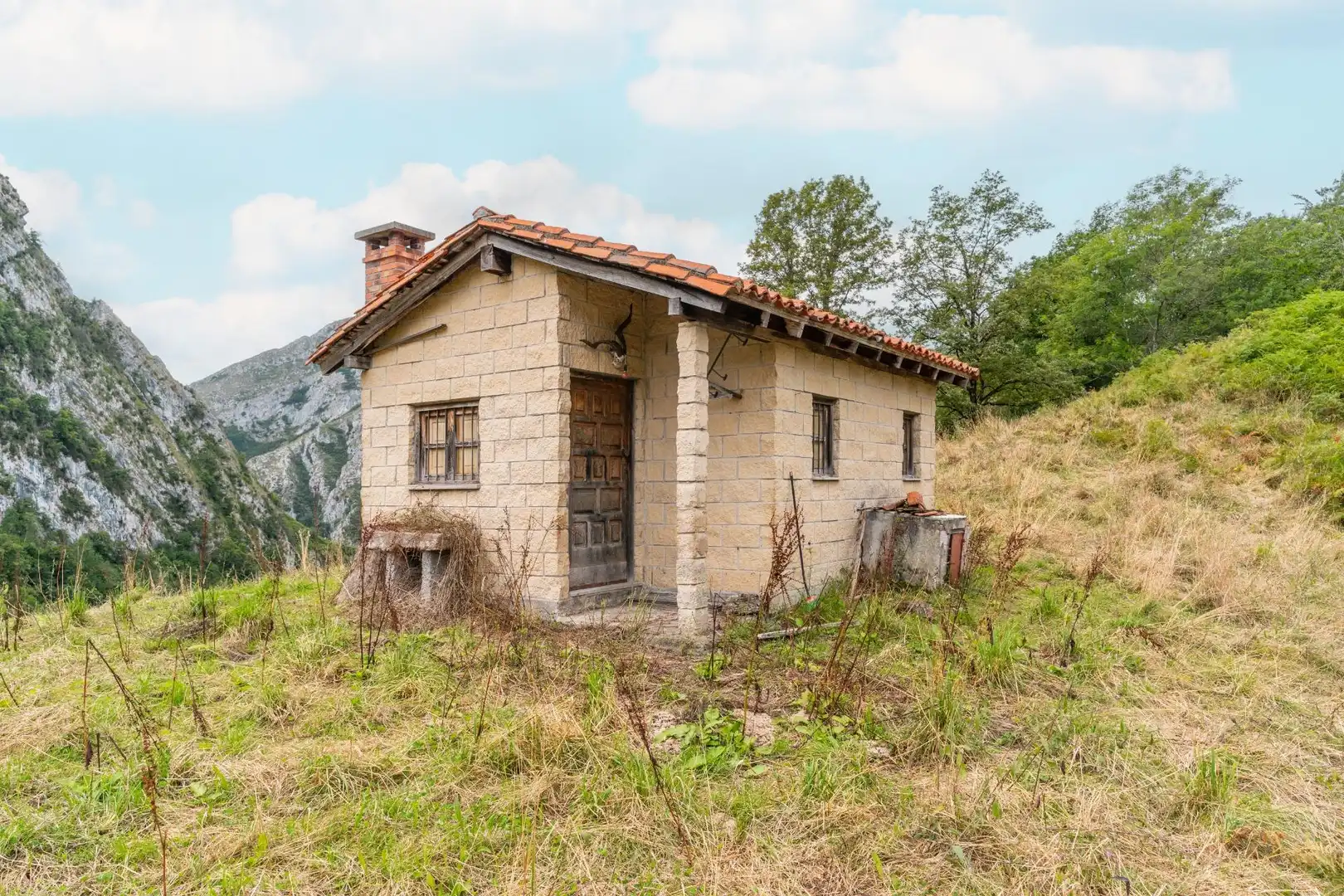 Exterior view of Houses for sale in Amieva
