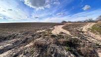 Land for sale in Casarrubios del Monte
