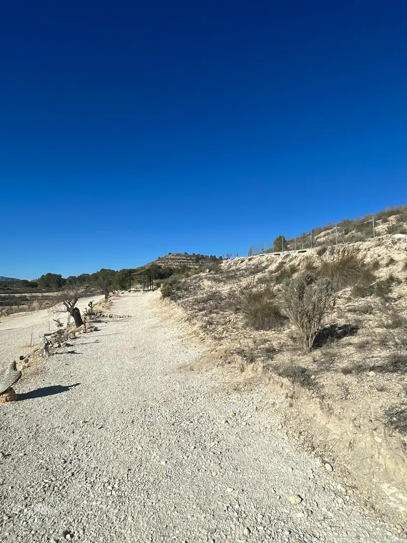 Wohnbaugrundstück zum Verkauf in El Pinós / Pinoso, imagen 11