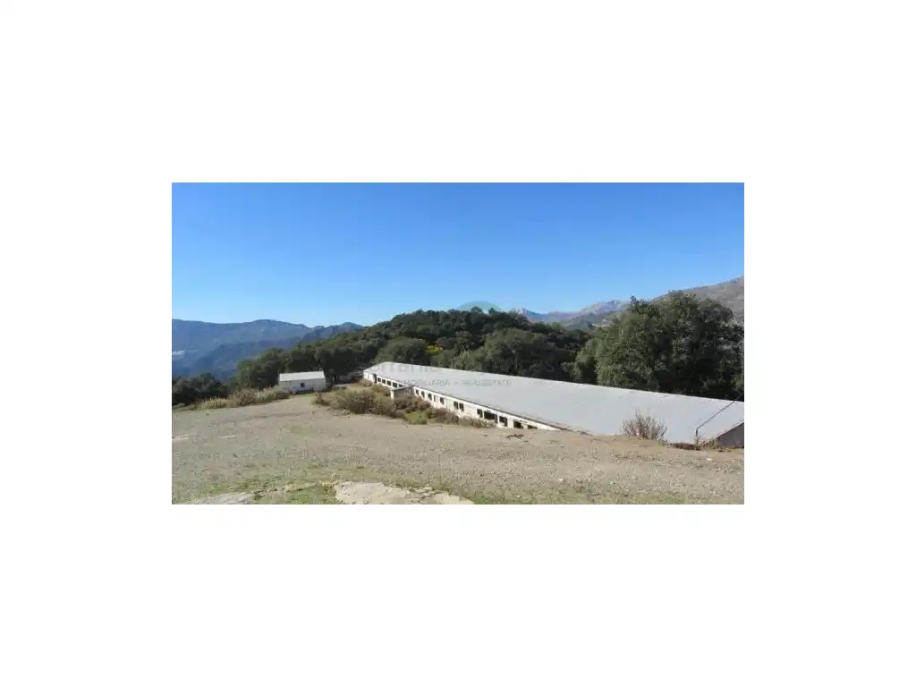 Exterior view of Houses for sale in Alpandeire
