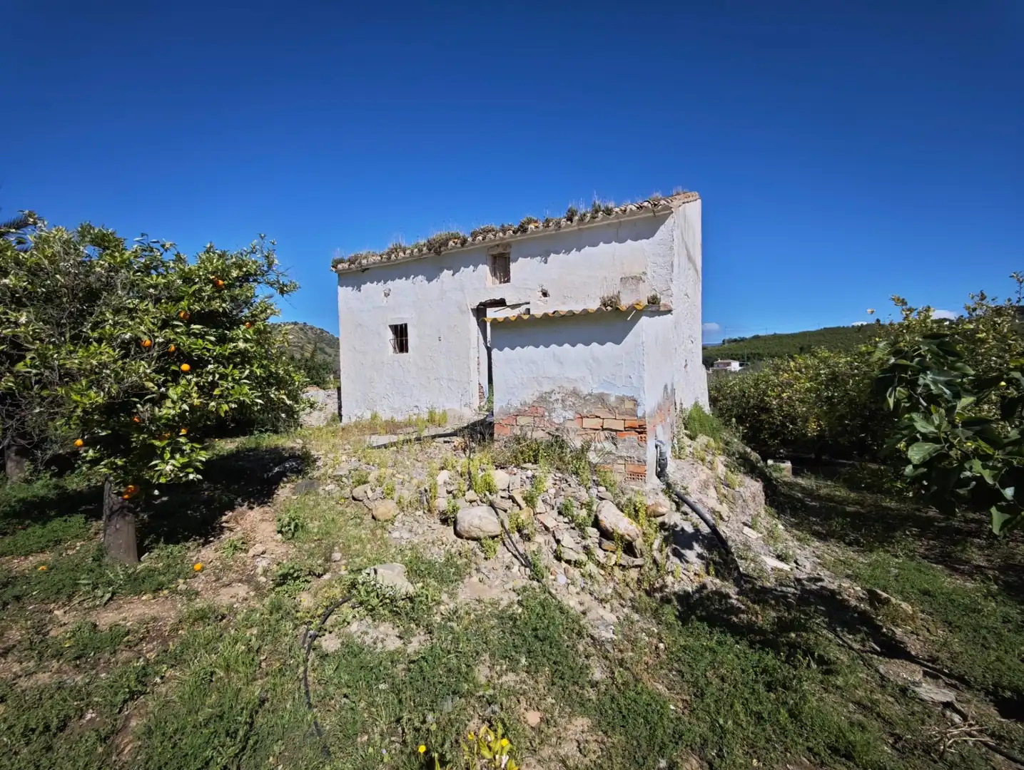 Vista exterior de Finca rústica en venda en Cártama