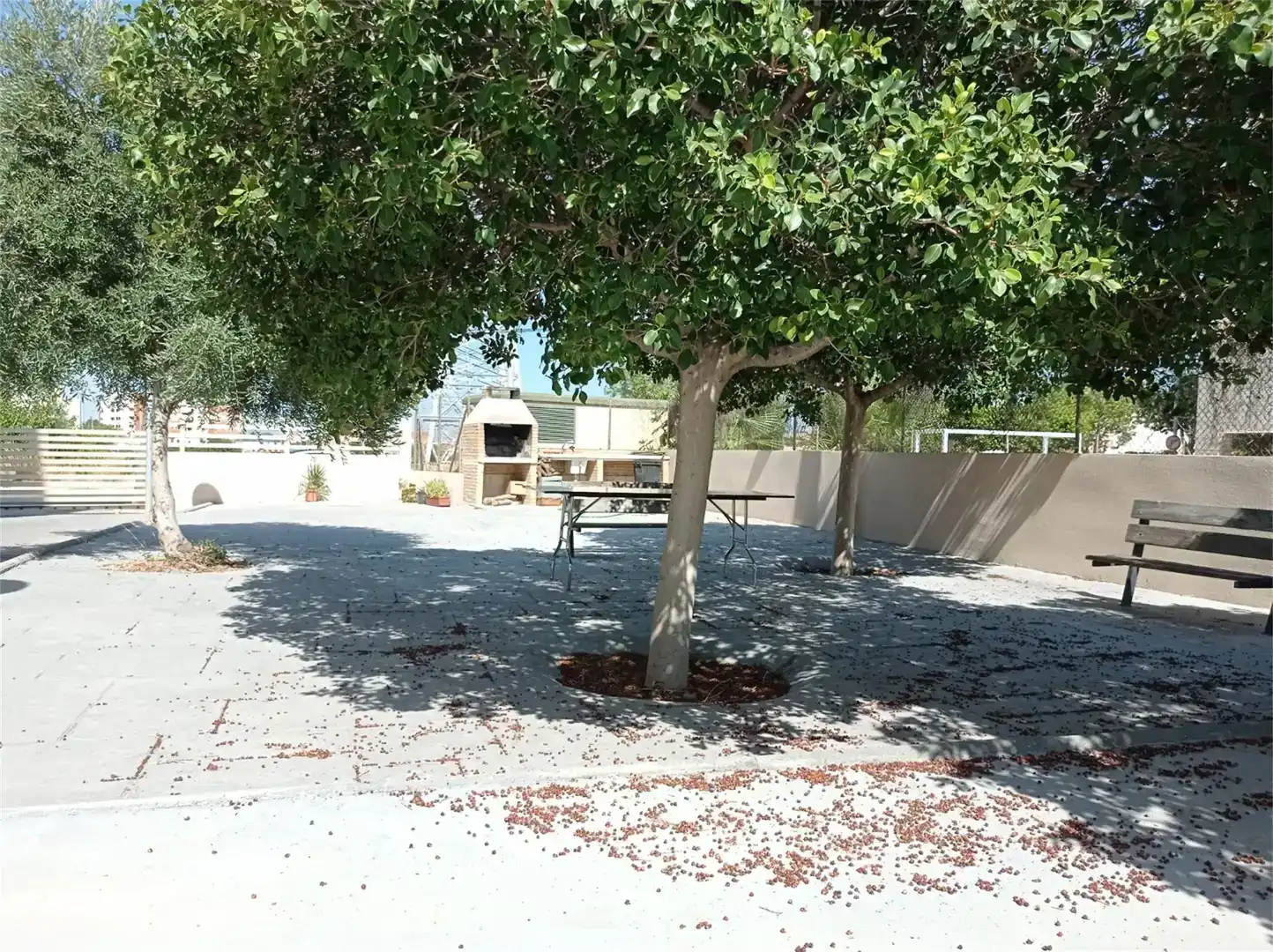 Terrassa de Pis en venda en Les Boqueres - Santa Quiteria