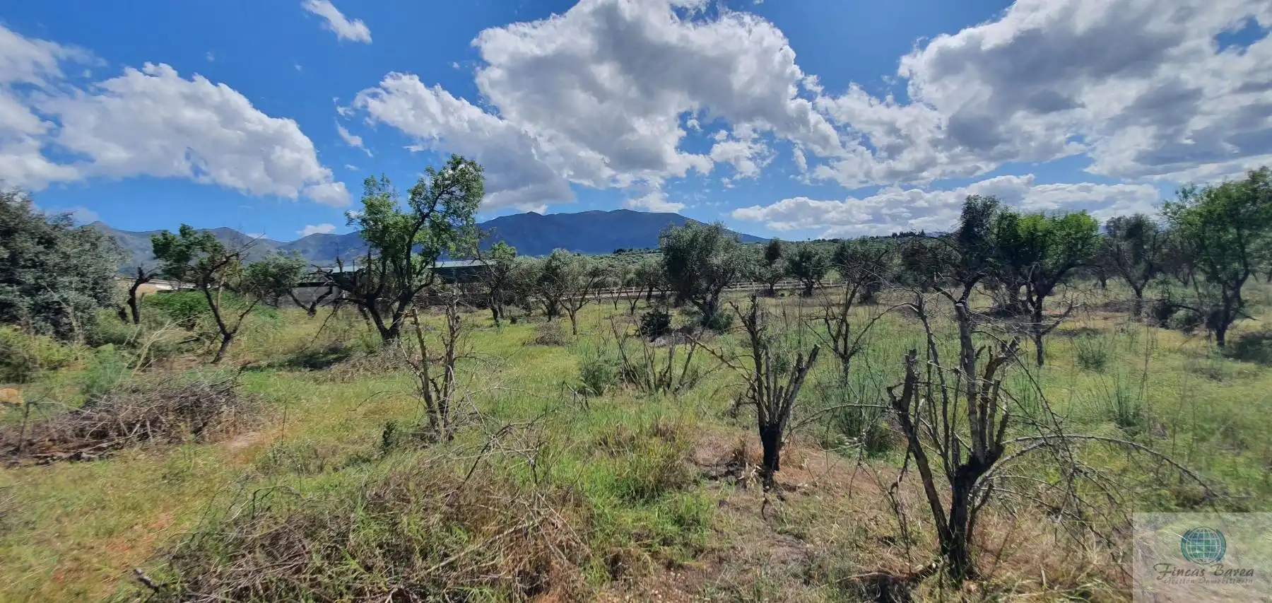 Residencial en venda en Alhaurín de la Torre