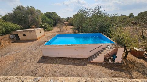 Foto 5 de Finca rústica en venta en Llucmajor pueblo, Illes Balears