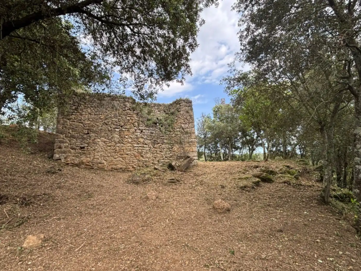 Finca rústica en venta en Palol de Revardit