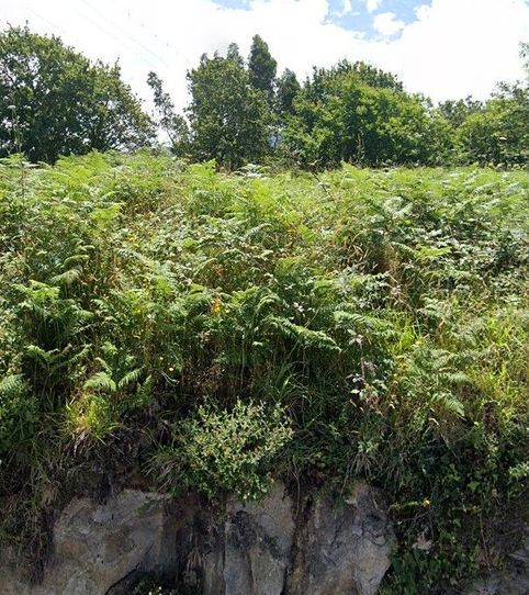 Foto 2 de Residencial en venda a Gondomar, Pontevedra