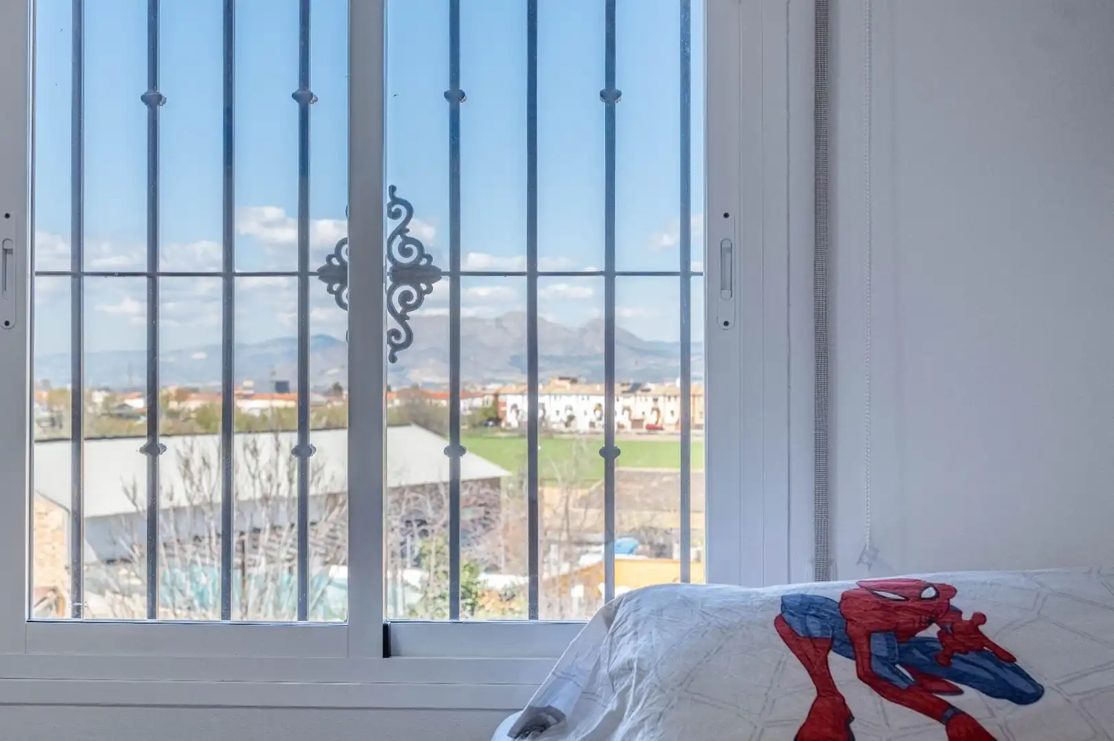 Piso con ascensor en venta en Calle Retiro 8, imagen 36