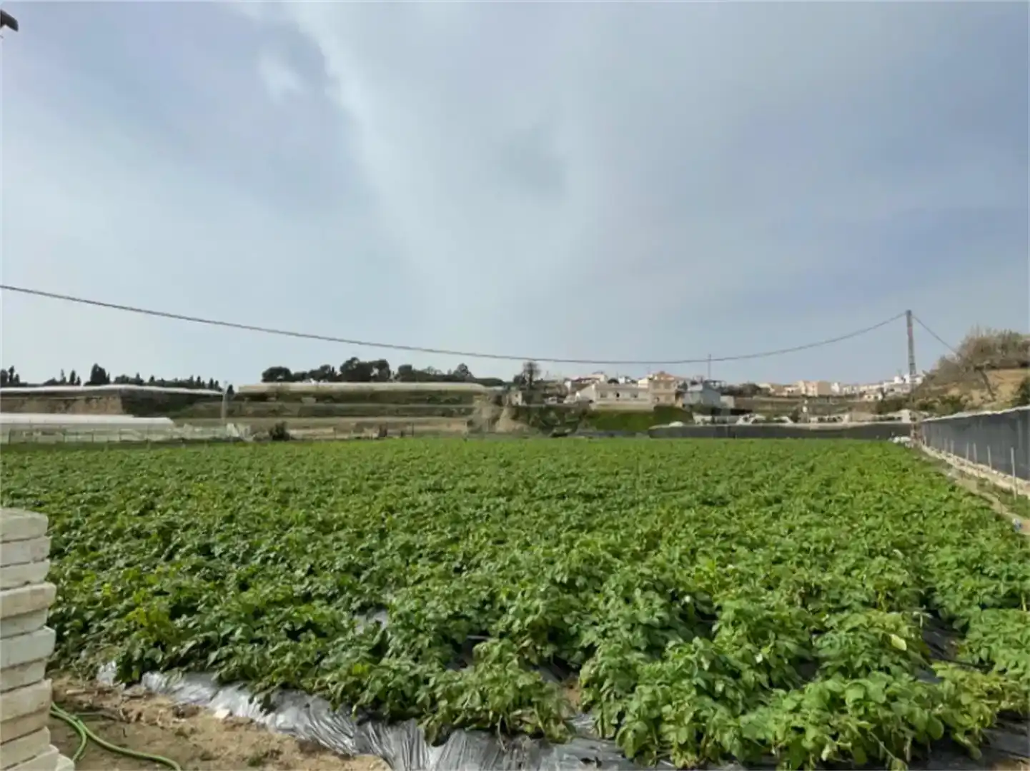 Finca rústica en venda en Algarrobo