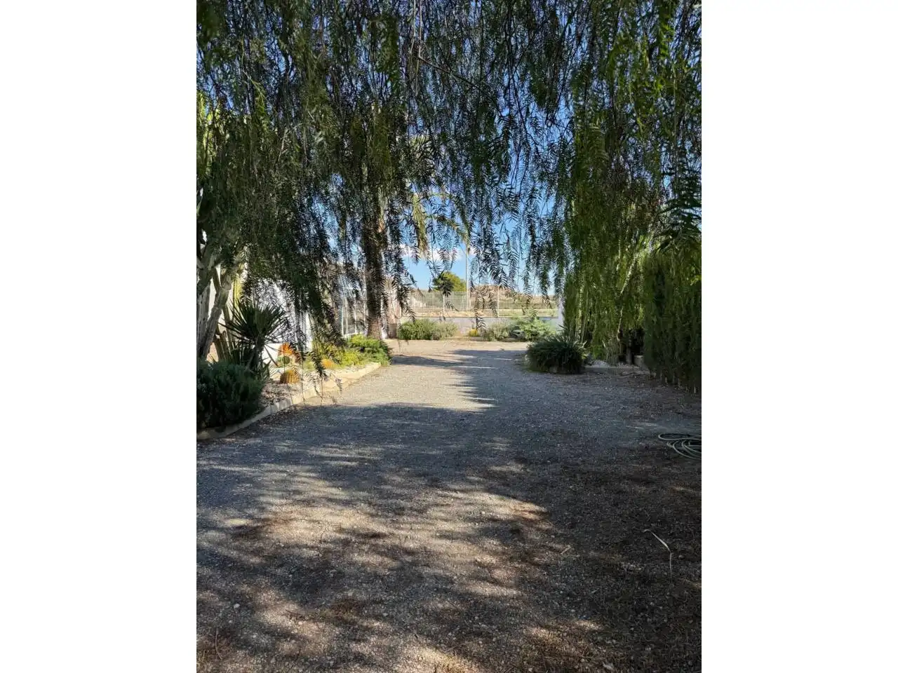 Vista exterior de Finca rústica en venta en Elche / Elx con Terraza y Amueblado