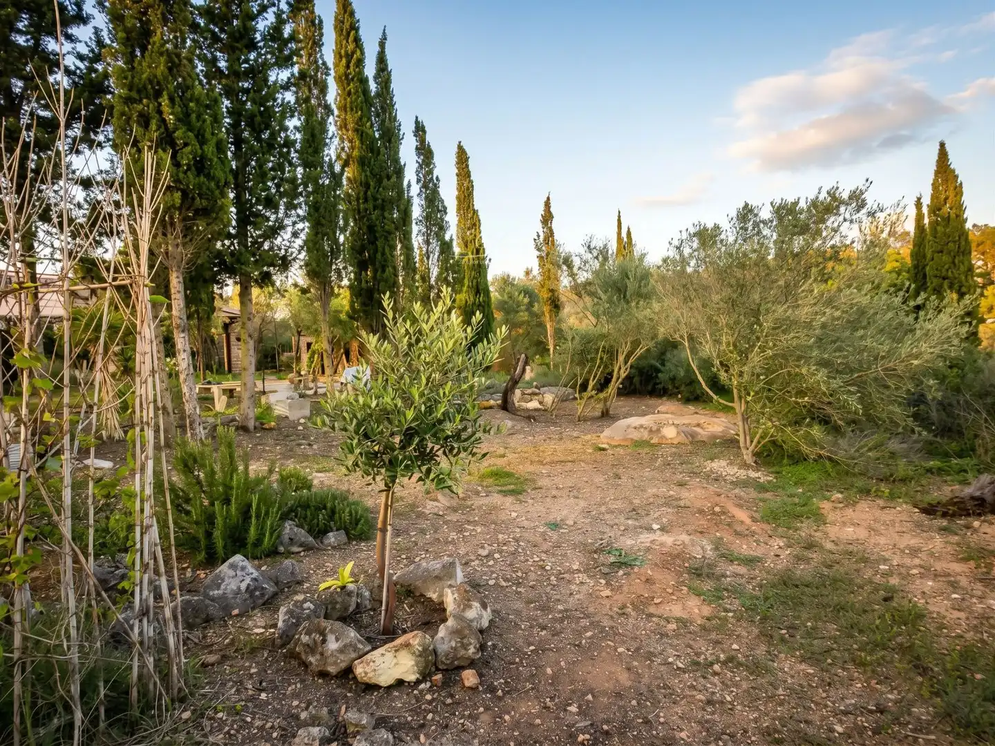 Jardín de Terreno en venta en Llevant