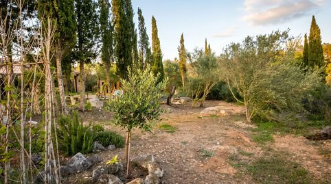 Foto 4 de Terreno en venta en Calle de Orient, Son Malferit, Palma de Mallorca