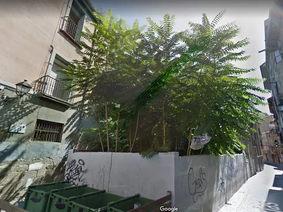 Terreno rústico en venta en C/ Verjas, imagen 6