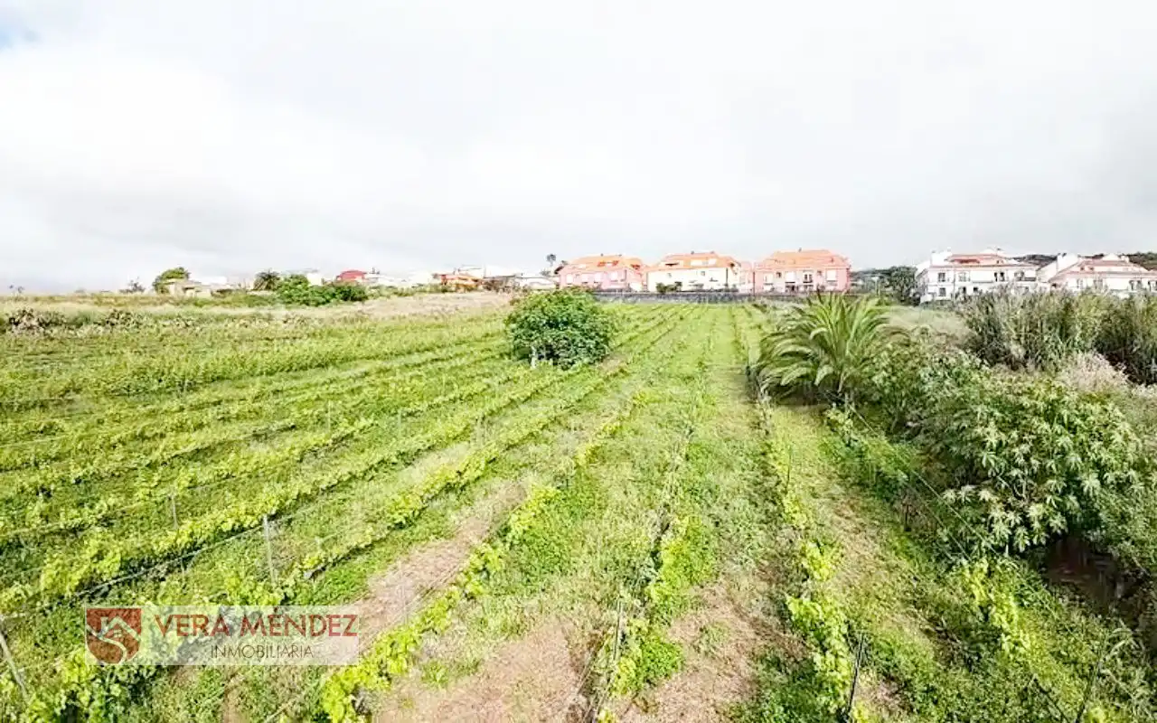 Finca rústica en venta en El Sauzal