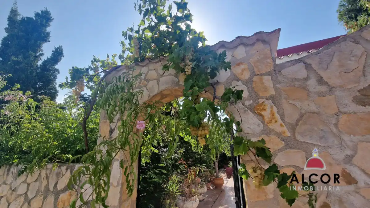 Villa avec jardin à vendre à CARABELA, imagen 3