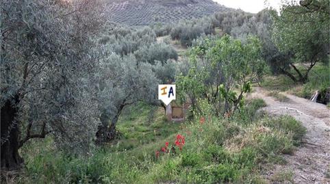 Foto 2 de Finca rústica en venda a Fuensanta de Martos, Jaén