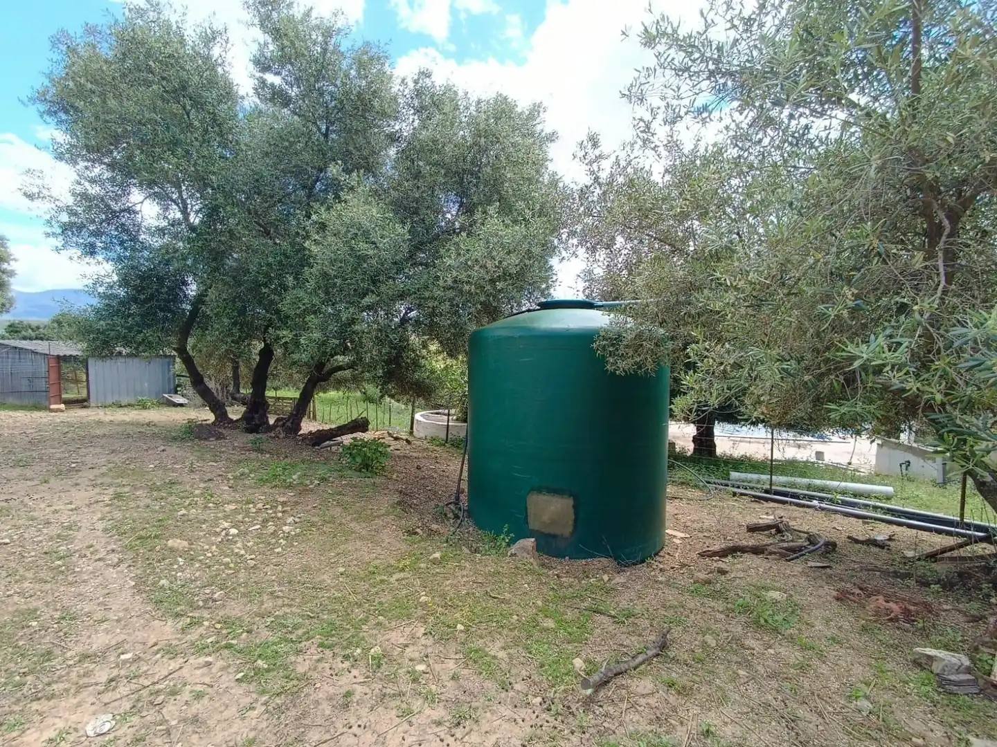 Garden of Residential for sale in Prado del Rey