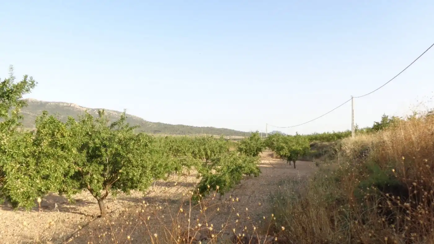 Rustikales Grundstück zum Verkauf in Salinas, imagen 2