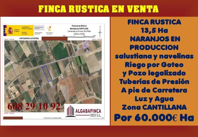 Terreno en Venta en Carretera Brenes, 8 en San Jerónimo - La Bachillera