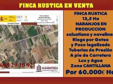 Rural land for sale in Carretera Brenes 8