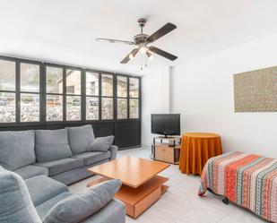 Living room of Apartment for sale in Somiedo