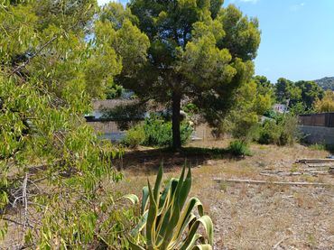 Terreno residenziale in vendita a Carrer Cigne