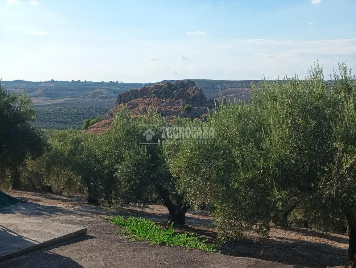 Terreno en venta en Montilla