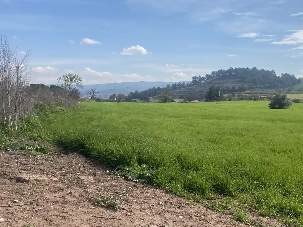 Terreny residencial en venda a Sant Fruitós de Bages, imagen 10